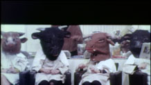 Heffer salon.