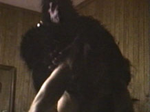 Ape rape.