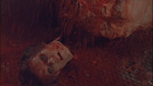 Dead head.