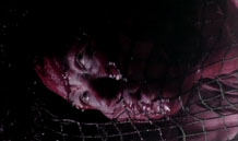 Net of death.