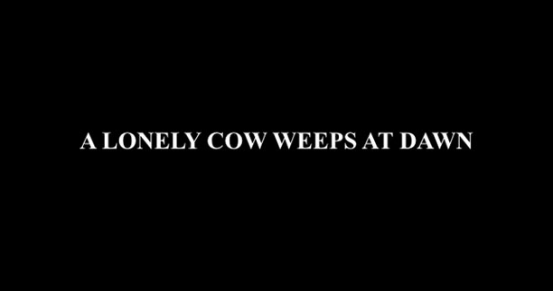 A Lonely Cow Weeps at Dawn