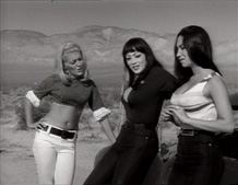 The three lovely ladies
